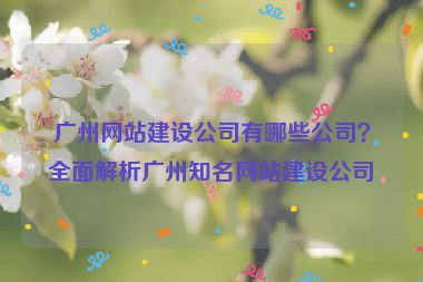 廣州網(wǎng)站建設(shè)公司有哪些公司？全面解析廣州知名網(wǎng)站建設(shè)公司