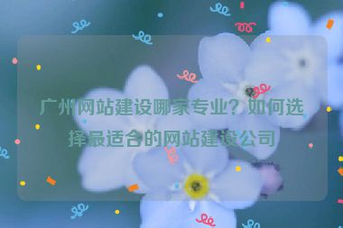 廣州網(wǎng)站建設(shè)哪家專(zhuān)業(yè)？如何選擇最適合的網(wǎng)站建設(shè)公司