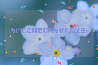 為什么定期更新網(wǎng)站軟件如此重要？