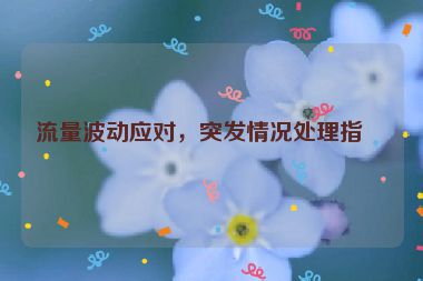 流量波動應(yīng)對，突發(fā)情況處理指南