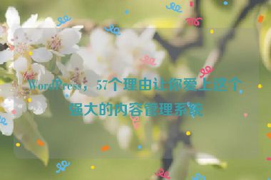 WordPress，57個(gè)理由讓你愛上這個(gè)強(qiáng)大的內(nèi)容管理系統(tǒng)