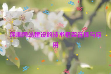 深圳網(wǎng)站建設(shè)的技術(shù)框架選擇與應(yīng)用