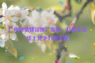 廣州網(wǎng)站建設(shè)推廣服務(wù)，打造企業(yè)線上競(jìng)爭(zhēng)力的關(guān)鍵