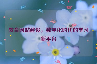 教育網(wǎng)站建設(shè)，數(shù)字化時代的學(xué)習(xí)新平臺