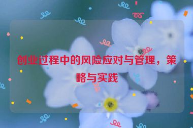 創(chuàng)業(yè)過程中的風(fēng)險應(yīng)對與管理，策略與實踐