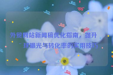 外貿(mào)網(wǎng)站新聞稿優(yōu)化指南，提升全球曝光與轉(zhuǎn)化率的實(shí)用技巧