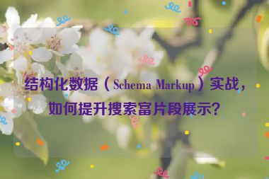 結(jié)構(gòu)化數(shù)據(jù)（Schema Markup）實戰(zhàn)，如何提升搜索富片段展示？