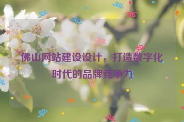 佛山網(wǎng)站建設設計，打造數(shù)字化時代的品牌競爭力