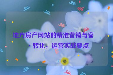 地方房產(chǎn)網(wǎng)站的精準營銷與客戶轉(zhuǎn)化，運營實戰(zhàn)要點