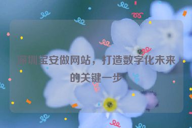 深圳寶安做網(wǎng)站，打造數(shù)字化未來的關(guān)鍵一步