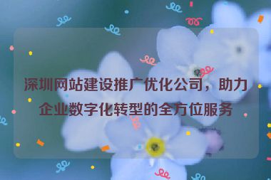 深圳網(wǎng)站建設(shè)推廣優(yōu)化公司，助力企業(yè)數(shù)字化轉(zhuǎn)型的全方位服務(wù)