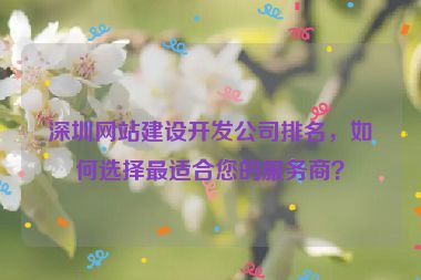 深圳網(wǎng)站建設(shè)開發(fā)公司排名，如何選擇最適合您的服務(wù)商？