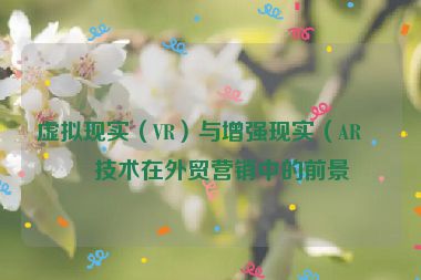 虛擬現(xiàn)實（VR）與增強現(xiàn)實（AR）技術在外貿(mào)營銷中的前景