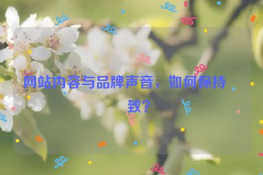 網(wǎng)站內(nèi)容與品牌聲音，如何保持一致？