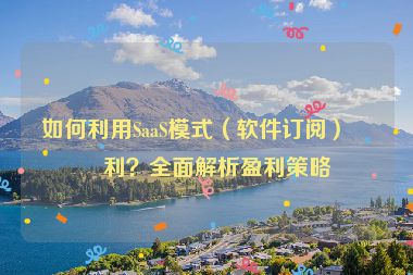 如何利用SaaS模式（軟件訂閱）盈利？全面解析盈利策略