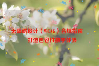 無障礙設(shè)計(jì)（WCAG）合規(guī)指南，打造包容性數(shù)字體驗(yàn)