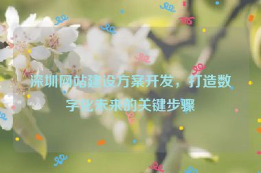 深圳網(wǎng)站建設(shè)方案開發(fā)，打造數(shù)字化未來的關(guān)鍵步驟