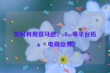 如何利用亞馬遜、eBay等平臺(tái)拓展電商業(yè)務(wù)？