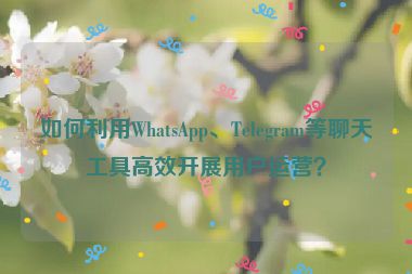 如何利用WhatsApp、Telegram等聊天工具高效開展用戶運(yùn)營？