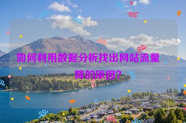如何利用數(shù)據(jù)分析找出網(wǎng)站流量下降的原因？