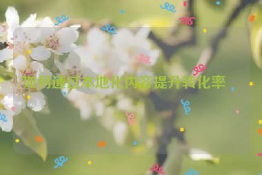如何通過本地化內(nèi)容提升轉(zhuǎn)化率？