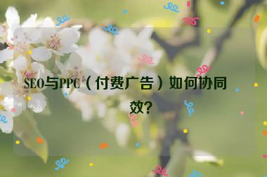 SEO與PPC（付費(fèi)廣告）如何協(xié)同增效？