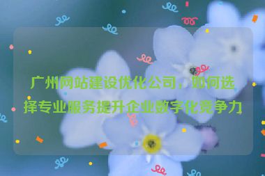 廣州網(wǎng)站建設(shè)優(yōu)化公司，如何選擇專業(yè)服務(wù)提升企業(yè)數(shù)字化競(jìng)爭(zhēng)力