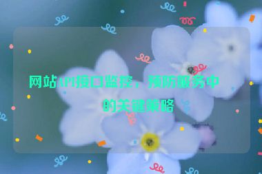 網(wǎng)站API接口監(jiān)控，預防服務中斷的關鍵策略