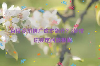 百度競價(jià)推廣成本飆升？5步排查法鎖定問題根源