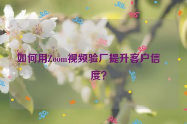 如何用Zoom視頻驗廠提升客戶信任度？