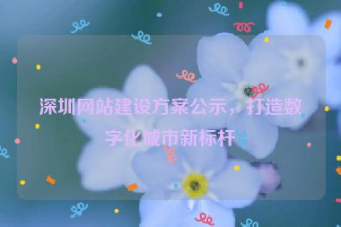 深圳網(wǎng)站建設(shè)方案公示，打造數(shù)字化城市新標桿