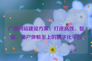 廣州網(wǎng)站建設(shè)方案，打造高效、智能、用戶體驗至上的數(shù)字化平臺
