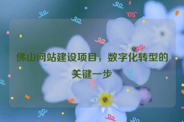 佛山網站建設項目，數字化轉型的關鍵一步