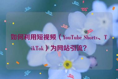 如何利用短視頻（YouTube Shorts、TikTok）為網(wǎng)站引流？
