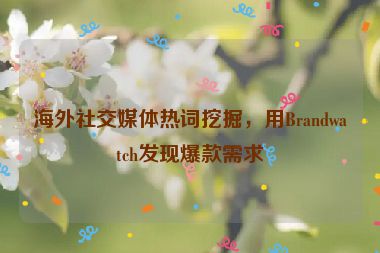 海外社交媒體熱詞挖掘，用Brandwatch發(fā)現(xiàn)爆款需求