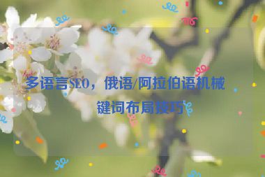 多語言SEO，俄語/阿拉伯語機械關(guān)鍵詞布局技巧