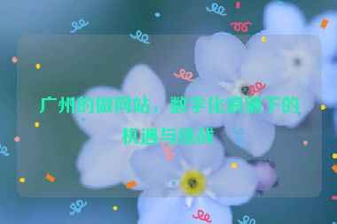 廣州的做網(wǎng)站，數(shù)字化浪潮下的機遇與挑戰(zhàn)