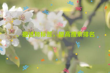 、描述和標(biāo)簽，提高搜索排名