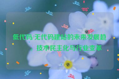 低代碼/無(wú)代碼建站的未來(lái)發(fā)展趨勢(shì)，技術(shù)民主化與行業(yè)變革
