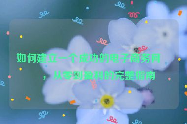 如何建立一個成功的電子商務網(wǎng)站，從零到盈利的完整指南