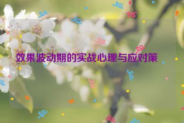 效果波動期的實戰(zhàn)心理與應對策略