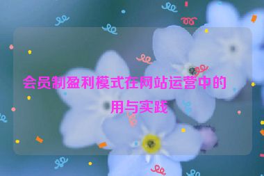 會員制盈利模式在網(wǎng)站運(yùn)營中的應(yīng)用與實踐