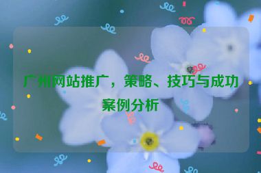 廣州網(wǎng)站推廣，策略、技巧與成功案例分析