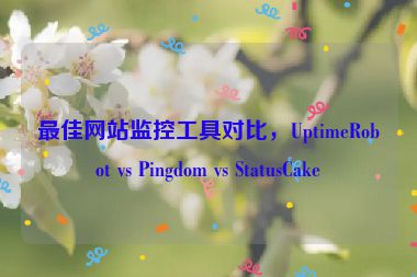 最佳網(wǎng)站監(jiān)控工具對比，UptimeRobot vs Pingdom vs StatusCake