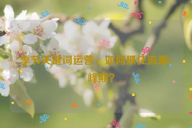 季節(jié)關(guān)鍵詞運(yùn)營(yíng)，如何抓住流量高峰期？