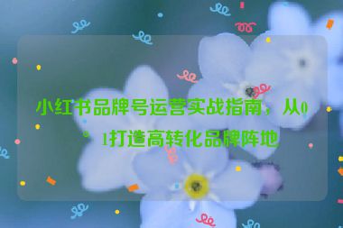 小紅書品牌號運營實戰(zhàn)指南，從0到1打造高轉(zhuǎn)化品牌陣地