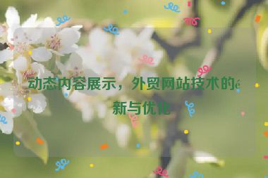 動態(tài)內(nèi)容展示，外貿(mào)網(wǎng)站技術(shù)的革新與優(yōu)化