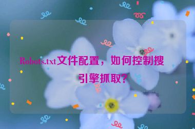 Robots.txt文件配置，如何控制搜索引擎抓?。?></a></div>    <div   id=