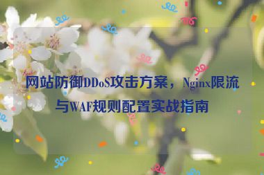 網(wǎng)站防御DDoS攻擊方案，Nginx限流與WAF規(guī)則配置實(shí)戰(zhàn)指南