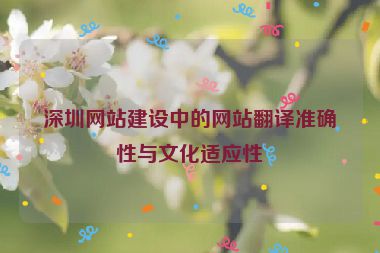 深圳網(wǎng)站建設(shè)中的網(wǎng)站翻譯準(zhǔn)確性與文化適應(yīng)性